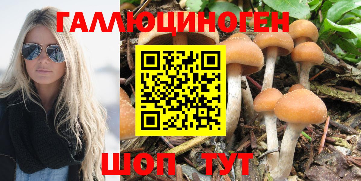 Псилоцибиновые грибы Cubensis  Вход с VPN  Якутск 