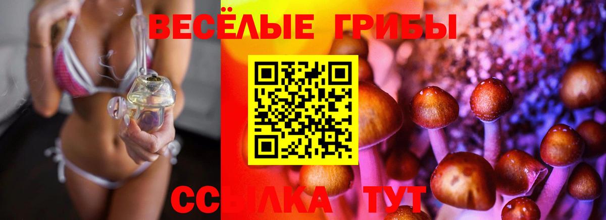 Псилоцибиновые грибы мухоморы Якутск